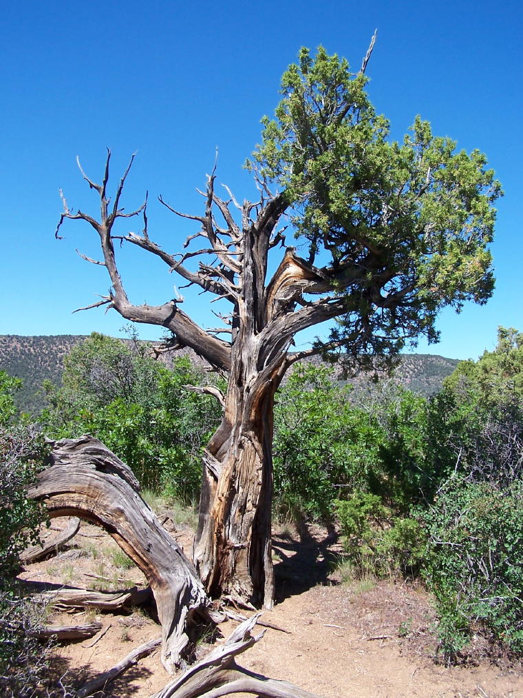 This is one of our favorite spots now. Gunnison Photos